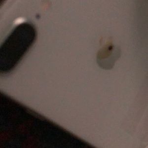 Meet your Posher, Dennis